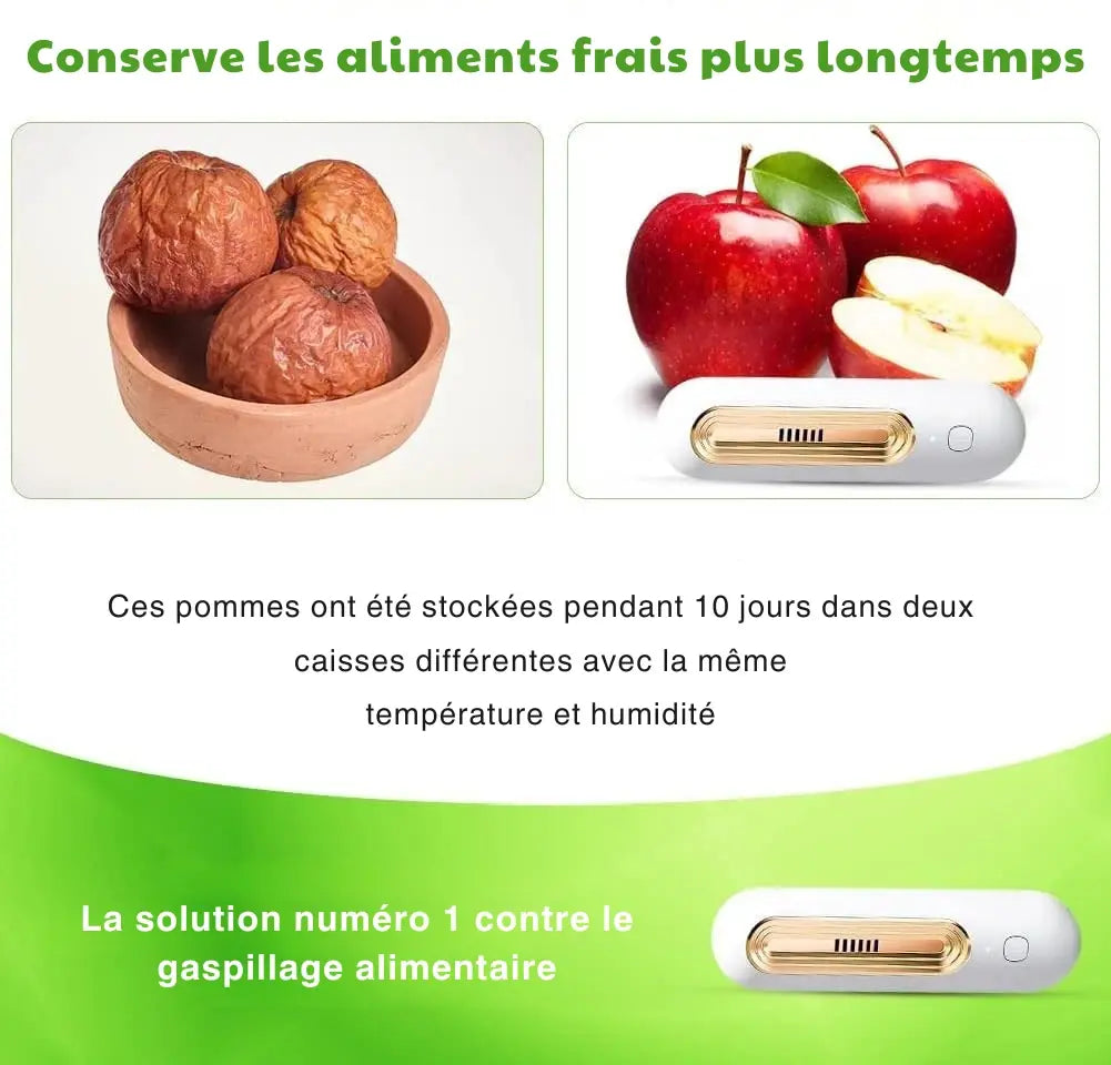 Purificateur d’Air Rechargeable pour Réfrigérateur