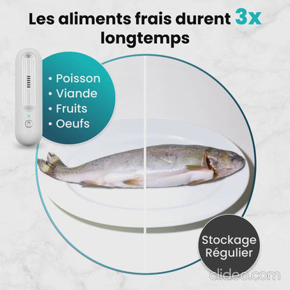 Purificateur d’Air Rechargeable pour Réfrigérateur